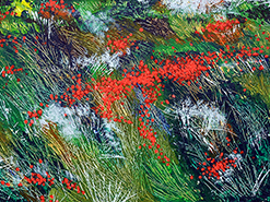 Roswita Busskamp painting Wildflowers