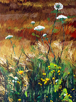 Roswita Busskamp painting Queen Anne’s Lace